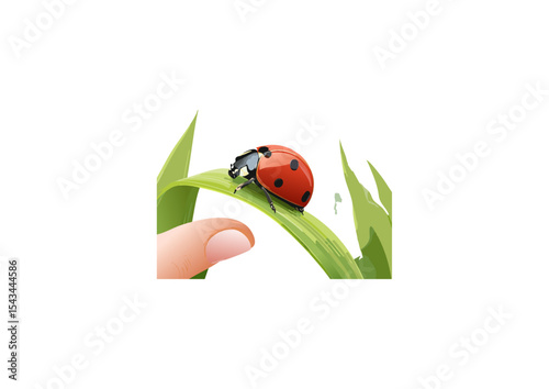 a ladybug is a bright red or orange shell (elytra) adorned with black spots, these insects actually display a surprising variety of colors and patterns. Some species can be yellow, orange,