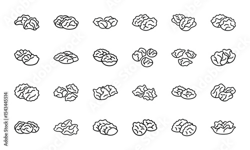 Vector illustration of a detailed set of outlined walnuts food and healthy eating elements