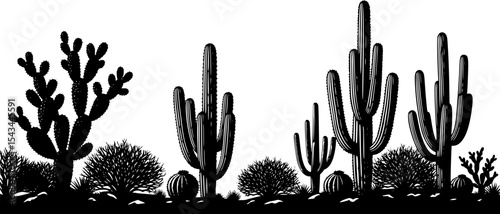 Desert landscape silhouette with cactus and bushes in black and white art. Vector illustration
