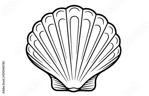 Detailed scallop seashell outline, ideal for beach-themed designs, marine illustrations, and ocean craft projects