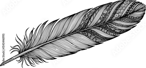 Monochrome illustration of feather with detailed lines, artistic concept. Vector illustration
