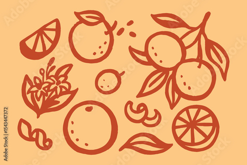 Orange fruit slices leaves naive sketch vector illustration set