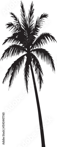  Tropical Palm Tree Silhouette: Iconic Black and White Design for Relaxing Getaways

