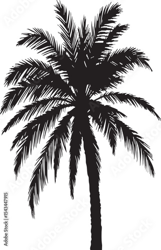  Tropical Palm Tree Silhouette: Iconic Black and White Design for Relaxing Getaways

