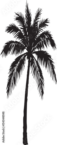  Tropical Palm Tree Silhouette: Iconic Black and White Design for Relaxing Getaways

