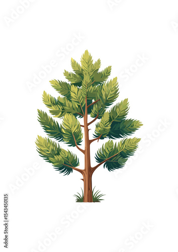 Juniperus chinensis is one of the most popular and revered species for bonsai cultivation. Its ability to tolerate aggressive pruning, its interesting bark, and the distinctive foliage
