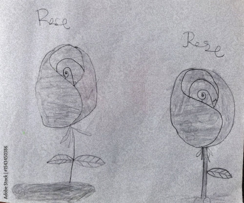 Pencil Sketch of Two Roses Simple Botanical Drawing
