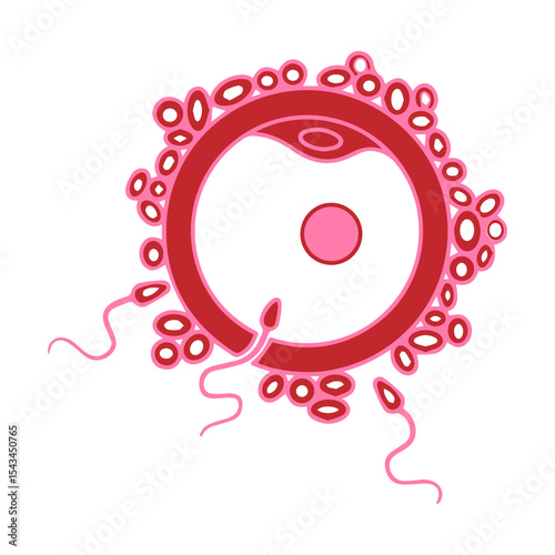 egg and sperm icon