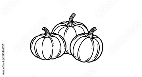 Three Plump Pumpkins with Ribbed Skin Displayed Against Plain Background Evoking Autumn Harvest Vibes
