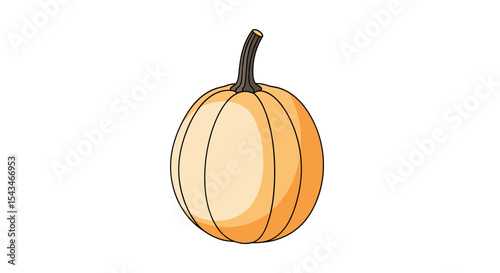Round Peach Colored Pumpkin with Brown Stem Isolated Against a Bright White Background