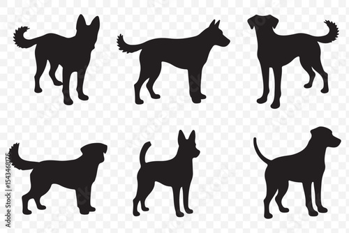 Dog Growth Stages Vector - Puppy to Adult Dog Silhouettes Set, Canine Life Cycle Illustration on Transparent Background. EPS 10.