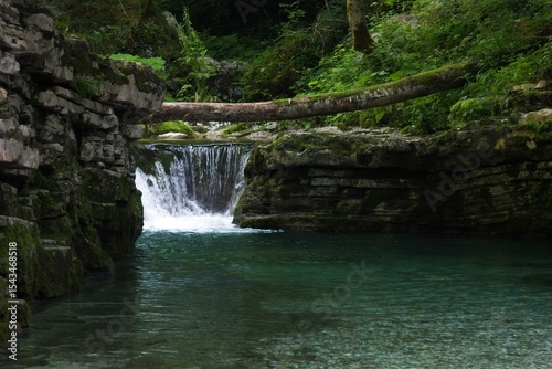 waterfall in the forest
