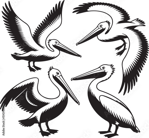 Pelican Standing on Pier Silhouette

Flying Pelican Over Water Vector Design

Pelican with Open Beak Silhouette Art

Coastal Pelican Resting Scene Vector

Pelican in Flight Silhouette Illustration