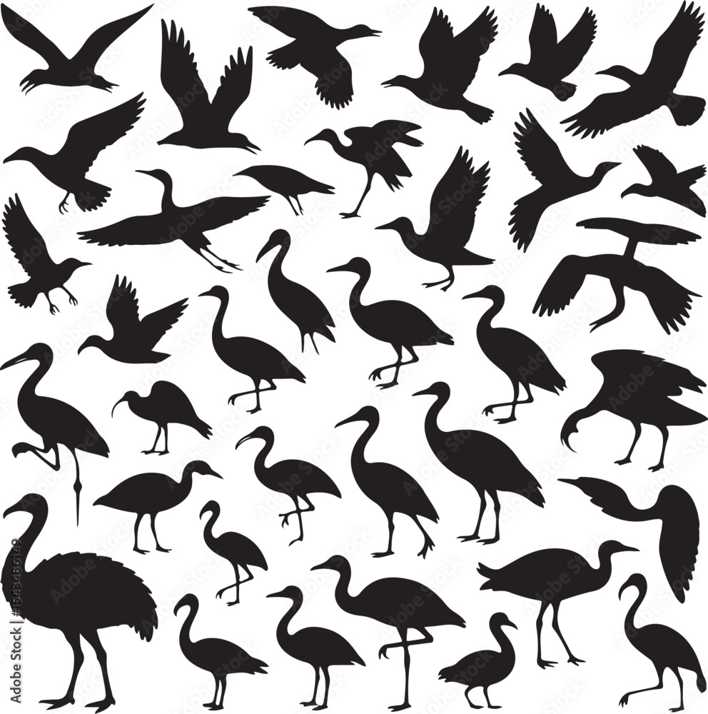 Pelican Standing on Pier Silhouette

Flying Pelican Over Water Vector Design

Pelican with Open Beak Silhouette Art

Coastal Pelican Resting Scene Vector

Pelican in Flight Silhouette Illustration