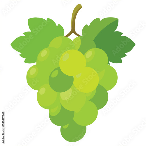 Green grapes bunch illustration isolated on a white background. Perfect for organic branding, botanical prints, packaging design, kitchen wall art, recipe books, skincare labels, and logo design.
