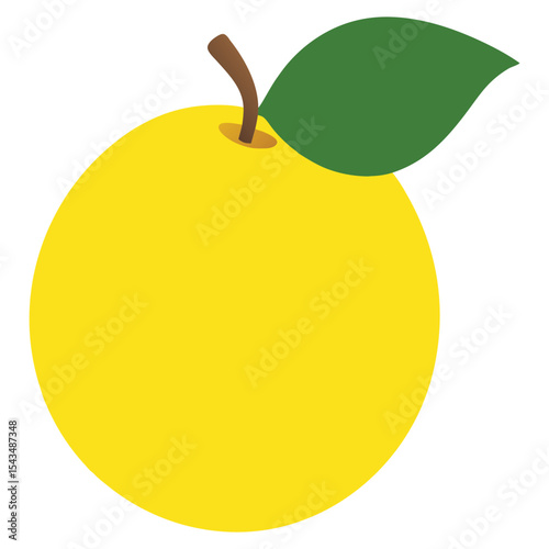 Simple yellow Indian realistic citrus jambhiri fruit illustration. Perfect for organic branding, botanical prints, packaging design, kitchen wall art, recipe books, skincare labels, and logo design.