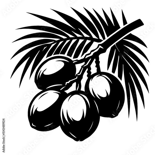 Tropical Coconut Palm Branch with Coconuts and Fronds - Ideal Vector for Exotic Destinations and Natural Themes.