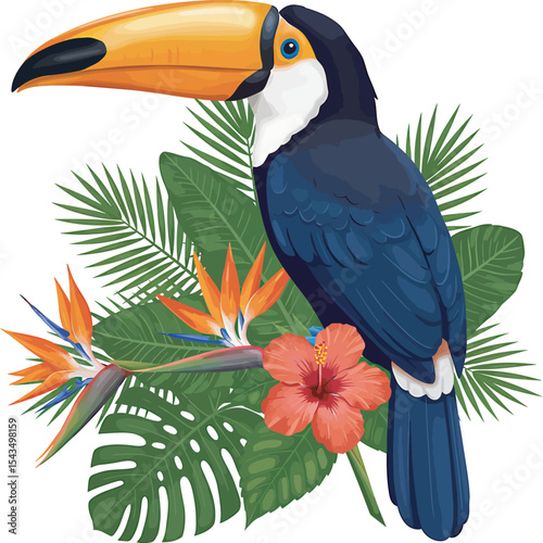 Colorful Toucan Bird Clip Art  vector and Illustration white color background