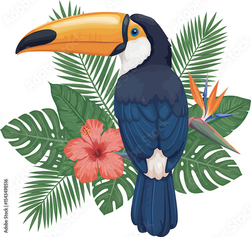 Colorful Toucan Bird Clip Art  vector and Illustration white color background