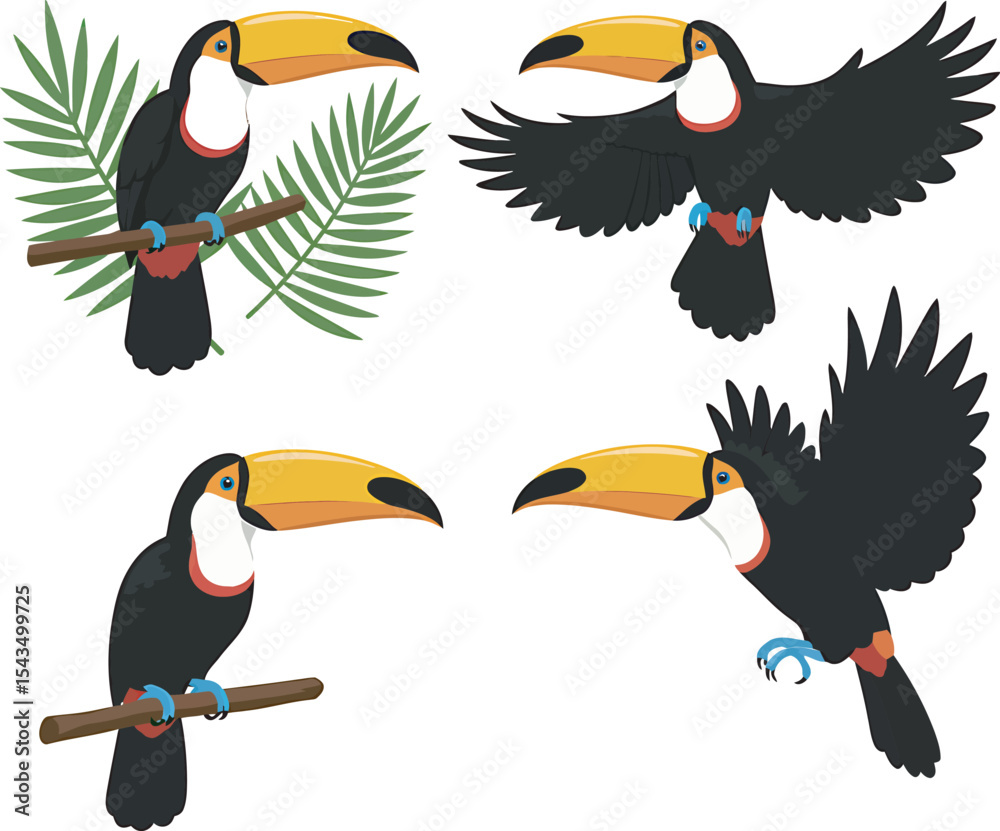 Obraz premium Colorful Toucan Bird Clip Art vector and Illustration white color background