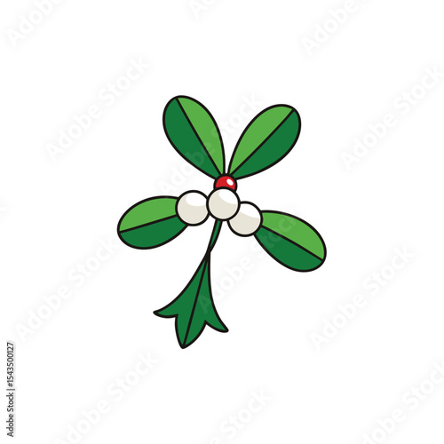 mistletoe with glossy green leaves and white berri
