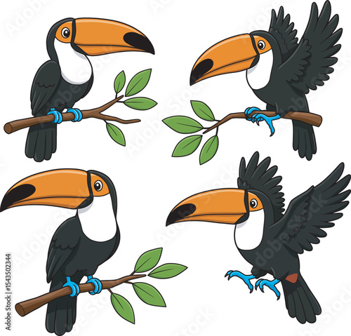 Colorful Toucan Bird Clip Art  vector and Illustration white color background