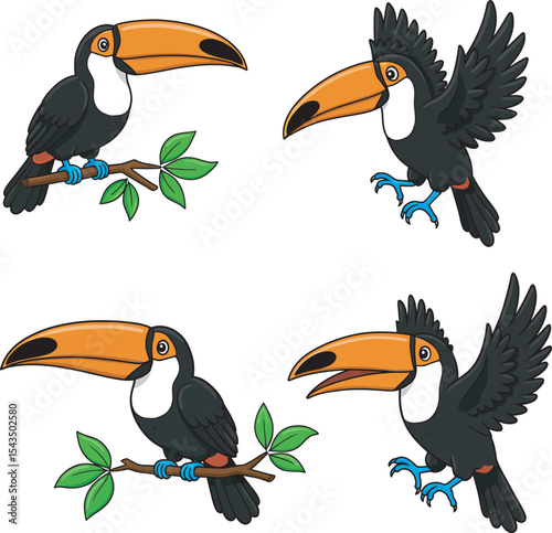 Colorful Toucan Bird Clip Art  vector and Illustration white color background