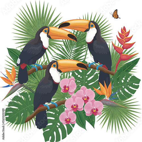 Colorful Toucan Bird Clip Art  vector and Illustration white color background