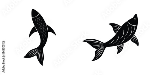 Detailed view of a salmon tail fin Silhouette on White Background