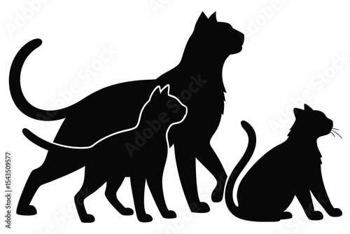 Adorable Group of Diverse Cat Breeds Standing Together in a Friendly Pose Showing Various Feline Personalities and Coats, silhouette