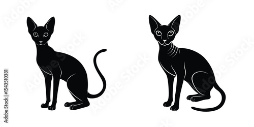 Detailed whisker view of a Cornish Rex cat Silhouette on White Background