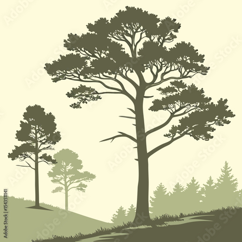Majestic Pine Trees Landscape Design Graphic ideal for branding nature logos and ecological projects offering scalable vector artwork for print and web applications.