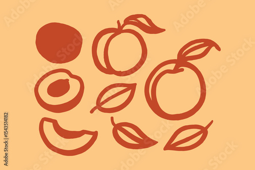 Apricot fruit slices leaves naive sketch vector illustration