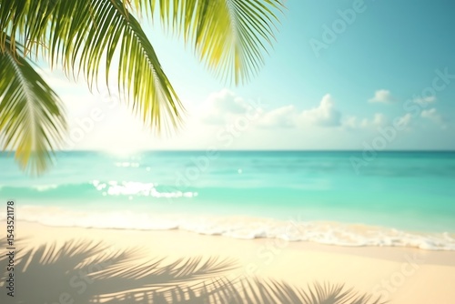palm tree on the beach
