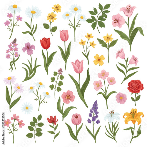 Set of spring and summer hand drawn flowers. Floral elements, wildflower, leaves and herb, plants, foliage on white background. Collection spring blossom icons. Vector flat illustration.