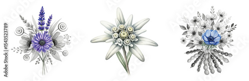 A beautiful watercolor illustration featuring graceful white edelweiss and elegant floral bouquets with accents of purple and blue blossoms.