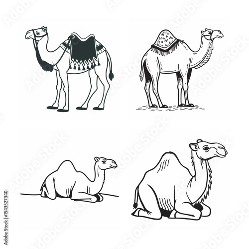 line art of camel  bundle on the white background