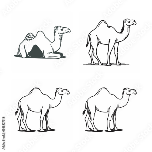 line art of camel  bundle on the white background