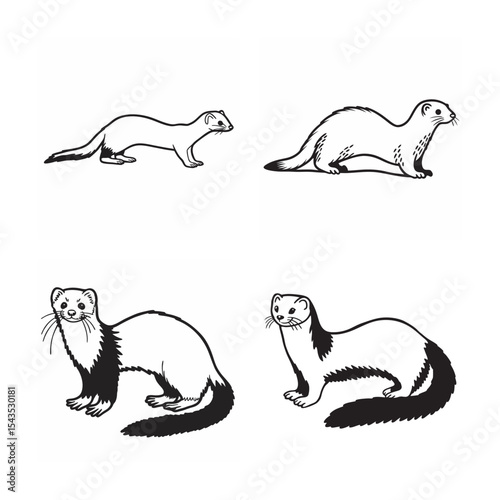line art of weasel bundle on the white background