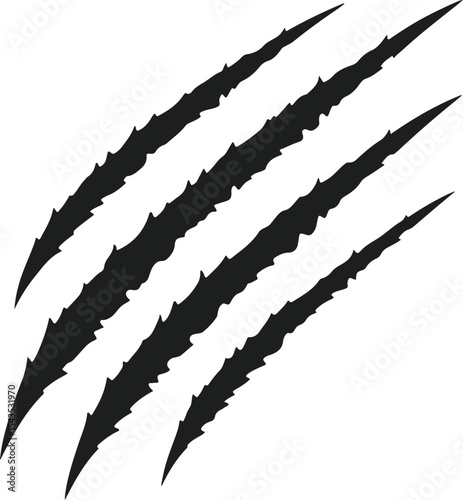 Four sharp black claw marks scratch scratches animal wild beast predator