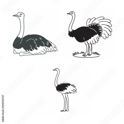 line art of animal of ostrich bundle on the white background