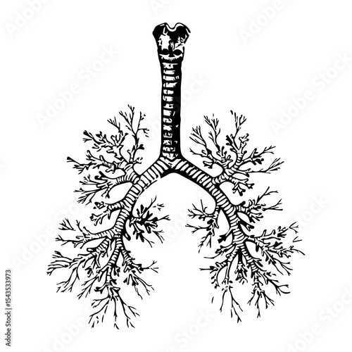 bronchial tree icon