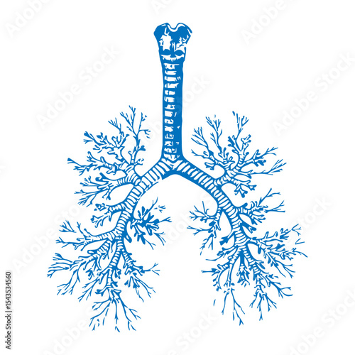 bronchial tree icon