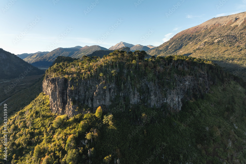 Obraz premium Cliff face with columnar basalt formations under blue sky framed by Araucaria trees. Neuquen, Patagonia, Argentina