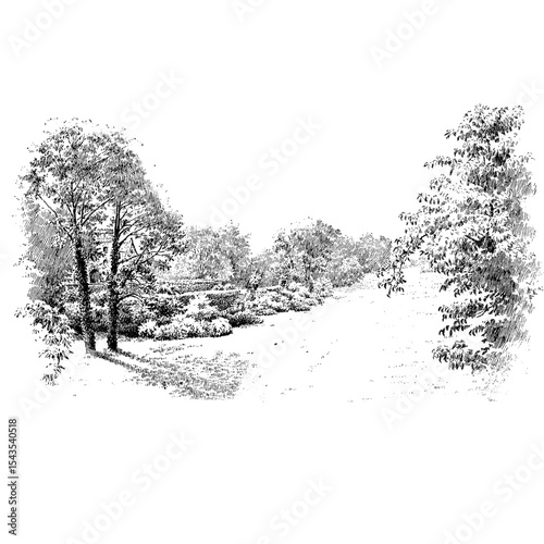 Mountain Forest Landscape Vintage Illustration⁠
