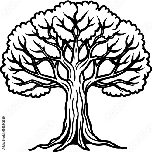 Banian Tree Silhouette on White