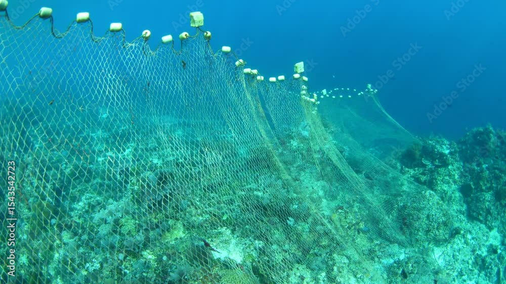 A long barrier net has been set up to catch fish on a coral reef near Alor, Indonesia. Many parts of Indonesia have been overfished due to the high population reliant upon marine resources.