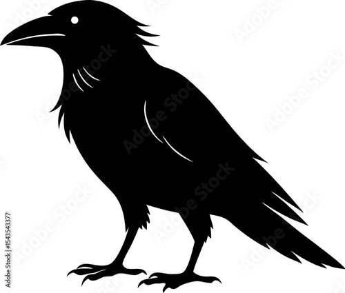 craw silhouette isolated on white