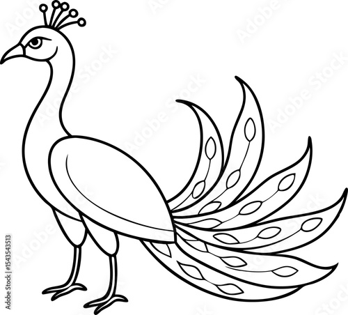 vector illustration of a peacock