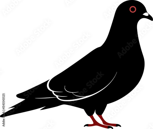 pigeon silhouette vector